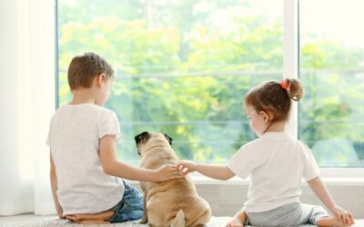 6 Ways to Make A Pet Friendly Home